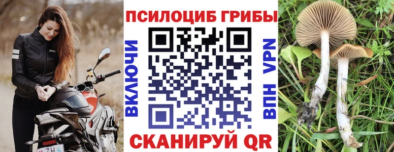 гидра вход  Тара  Псилоцибиновые грибы мухоморы 