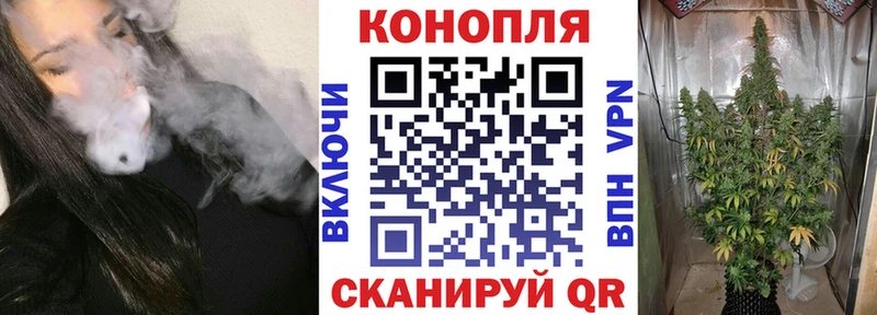 Бошки марихуана VHQ  Тара 